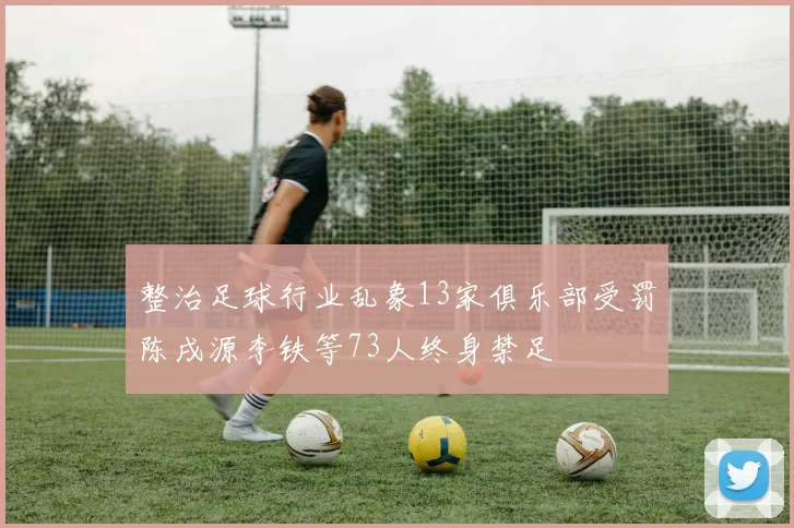 整治足球行业乱象13家俱乐部受罚陈戌源李铁等73人终身禁足